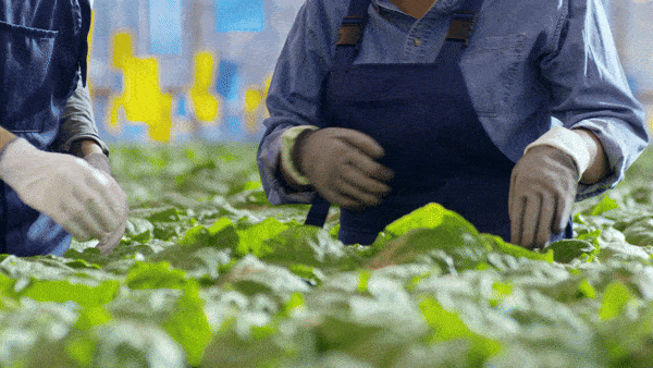 PowerUpWork Carousel Bild 6